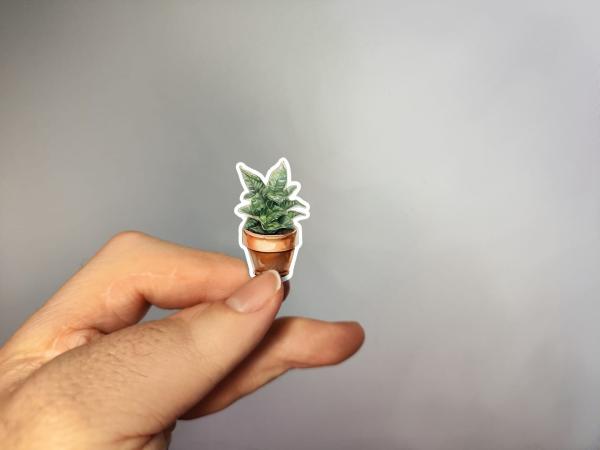 Kleiner Sticker mit Sukkulente im Topf, handgemalt im Aquarellstil – in der Hand gezeigt