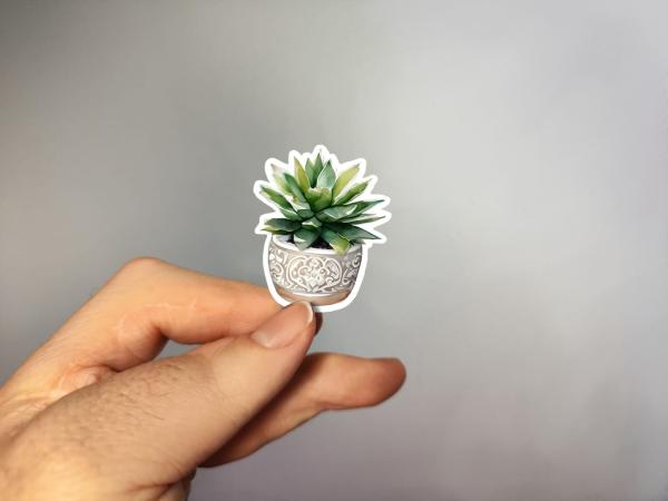 Dekorativer Sukkulenten-Sticker im kunstvollen Topf – handgefertigt, in der Hand gehalten
