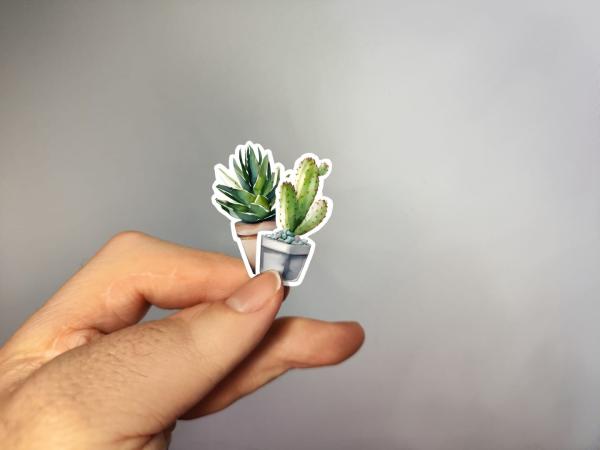 Dekorativer Sukkulenten- und Kaktus-Sticker, handgefertigt im Aquarellstil – in der Hand gehalten